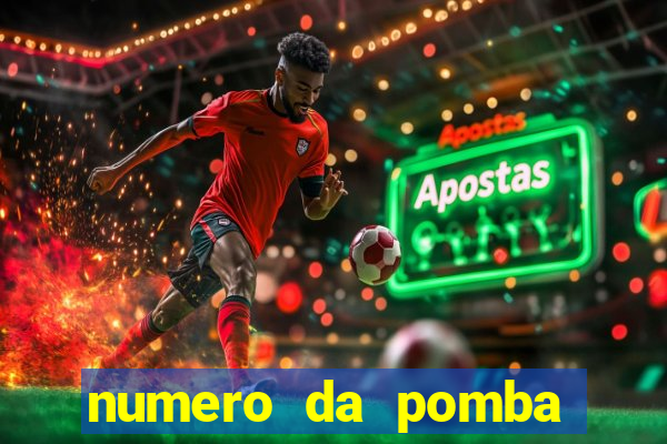 numero da pomba jogo do bicho